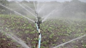 Seimas pritarė, kad būtų nustatyta  aiškesnė paviršinio vandens naudojimo tvarka