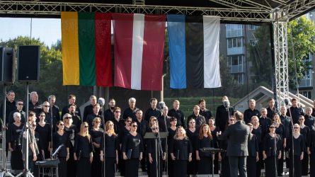 Šiauliuose prisiminta Baltijos šalių vienybės diena