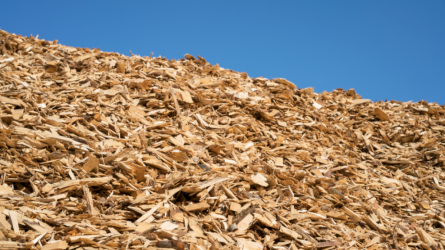 Informuojame, kaip bus įgyvendinami biokuro tvarumo direktyvų reikalavimai