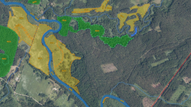 Šimonių girią saugosime dar labiau  – miško kirtimai bus ribojami beveik 2 tūkst. ha