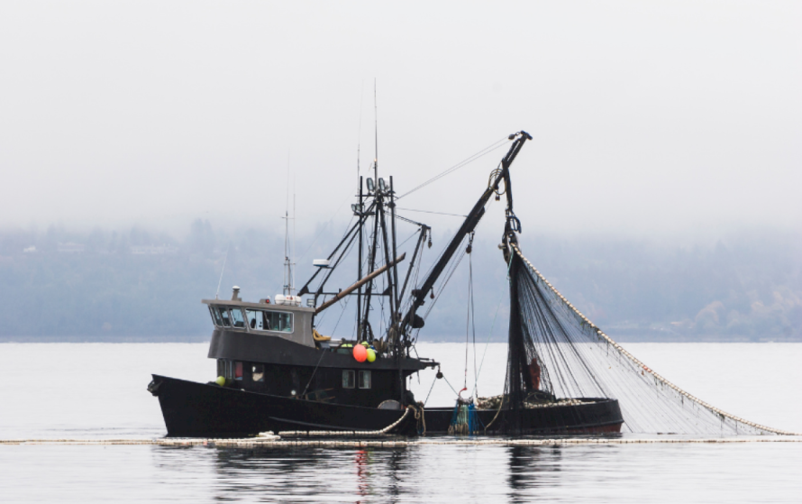 Kuršių mariose nebebus galima naudoti tam tikrų verslinės žvejybos įrankių