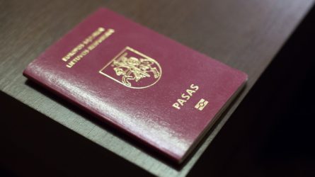Vyriausybė pritarė VRM siūlomam pilietybės procedūrų griežtinimui