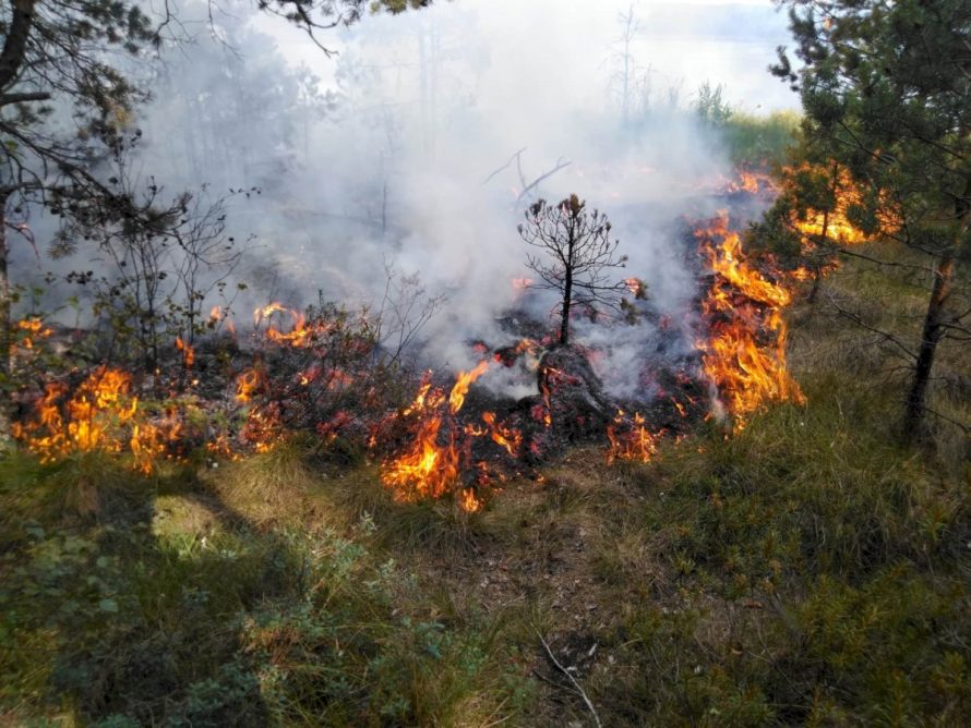 Pavasariniams gaisrams užkardyti – prevenciniai miškininkų reidai