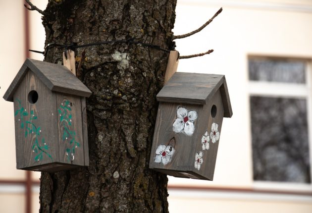 Šiauliečiai Pasaulinės žemės dienos proga sugrįžtantiems paukščiams padovanojo naujus namus – Liubov Yarmoshenko nuotr.