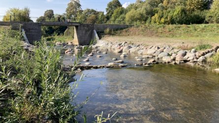 Salantų užtvankos pašalinimo ir Salanto upės vagos atkūrimo projektas – tarp penkių geriausių Europoje