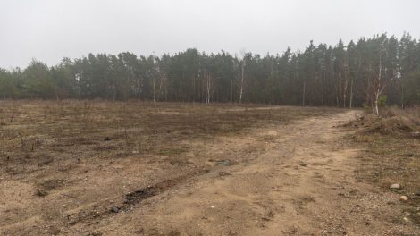 Vilniuje naujam pritaikymui atlaisvinta daugiau kaip 40 ha valstybinės žemės: nukelti metaliniai garažai