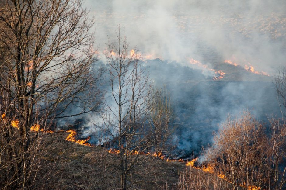Valstybinė miškų urėdija įspėja apie didelį miškų gaisrų pavojų