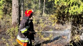 Lietuvoje – didelis miško gaisrų pavojus – iššūkis Valstybinių miškų urėdijos miškininkams
