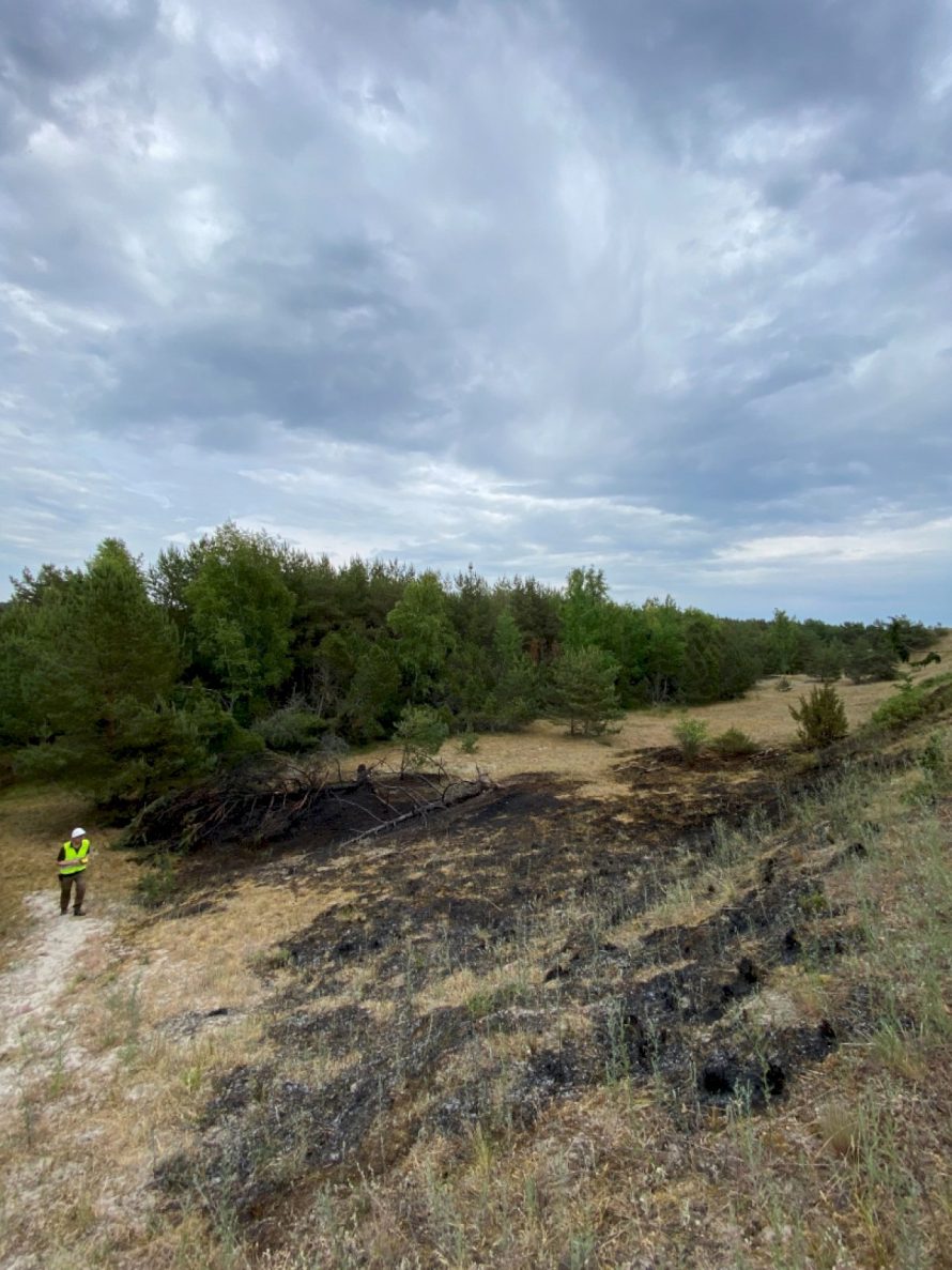Juodkrantėje per dieną kilo 4 miško gaisrai – miškininkai įtarią padegimą