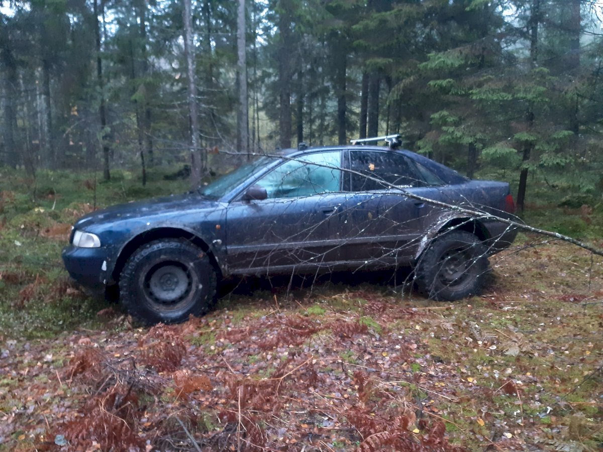 praradusiam-dar-neigyta-teise-vairuoti-vaikinui-iskilo-gresme-netekti-ir-automobilio-(video)