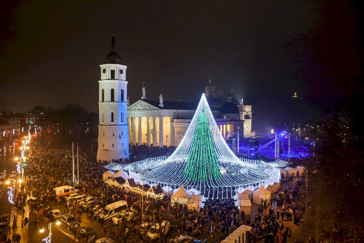 vilnius-ruosiasi-iziebti-kaledu-egle:-i-rengini-–-nemokamu-viesuoju-transportu