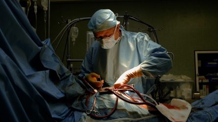 Mirtis gali padovanoti gyvybę: LRT eteryje donorystei ir transplantacijai skirtas dokumentikos ciklas „Prisikėlimas“