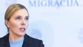 VRM siūlo dar labiau griežtinti migracijos kontrolę