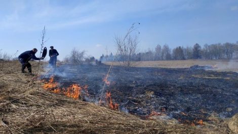 Ugniagesiai įspėja: laužų ir žolės deginimas gali užtraukti baudą