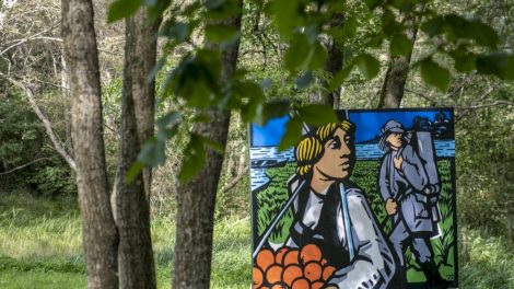Lietuvos kultūros taryba skyrė dalinį finansavimą Meno plenerui Bitėnuose