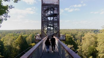 Lankantiems gražiausias Lietuvos vietas – nuostabius vaizdus atveriantys apžvalgos bokštai