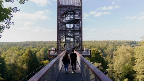 Apžvalgos bokštai, atveriantys nuostabius vaizdus gražiausiose Lietuvos vietose