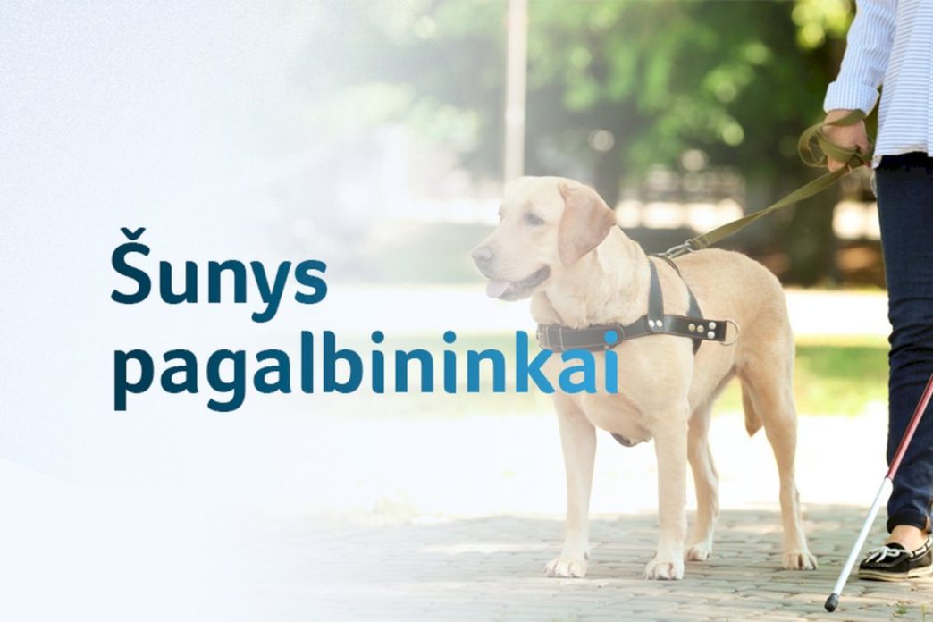 seimas-pritare:-zmonems-su-negalia-valstybe-kompensuos-sunu-pagalbininku-parengima