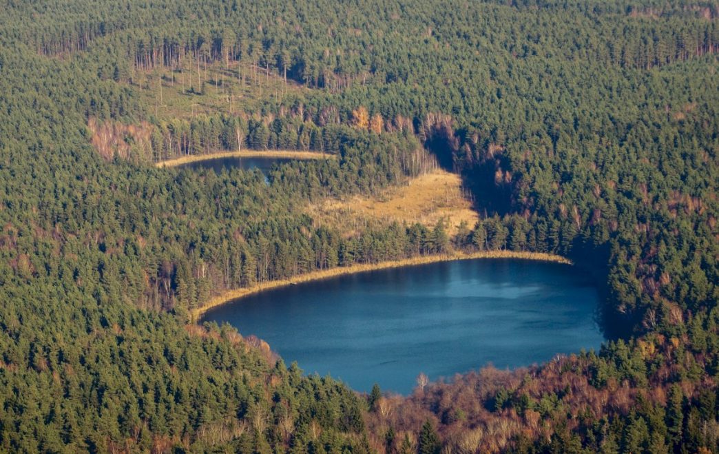 misku-istatymo-pataisu-projekte-–-aiskesnes-taisykles-ir-maziau-biurokratijos-misku-savininkams
