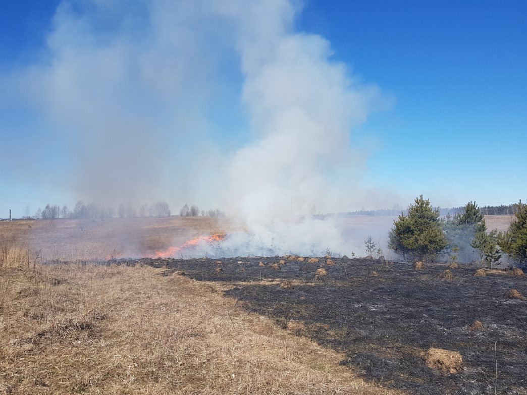 per-tris-paras-–-140-gaisru-ir-desimtys-gelbejimo-darbu