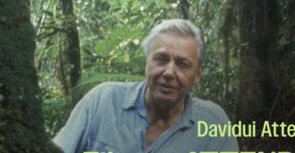 sengires-kinas:-filmo-„attenborough-rojuje“-perziura