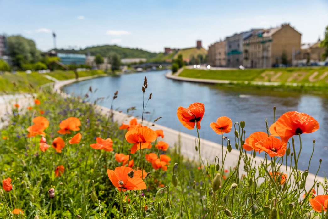 vilnius-stiprina-neries-apsauga:-tarsa-fiksuos-realiuoju-laiku