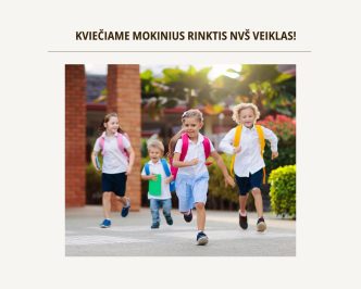 ka-veikti-po-pamoku-vilkaviskio-rajono-savivaldybeje?