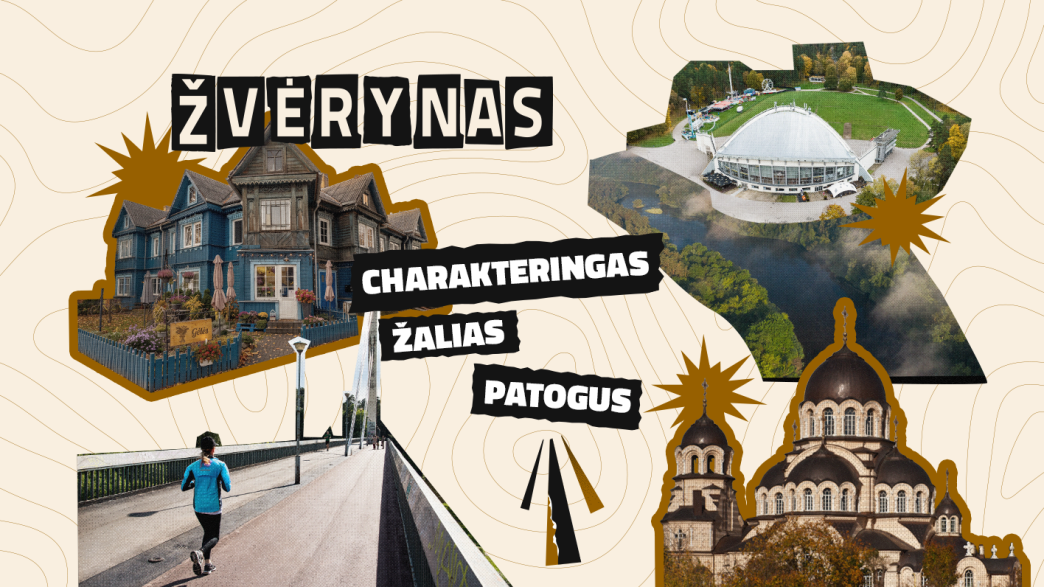vilniaus-seniuniju-tapatybe:-zverynas-–-zalias,-charakteringas-ir-patogus-gyventi